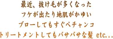 最近、抜け毛が多い気がする・フケが出たり地肌がかゆい・ブローしてもすぐペチャンコ・トリートメントしてもバサバサな髪