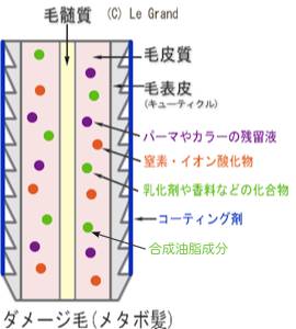 メタボ髪