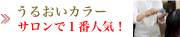 うるおいカラーコース